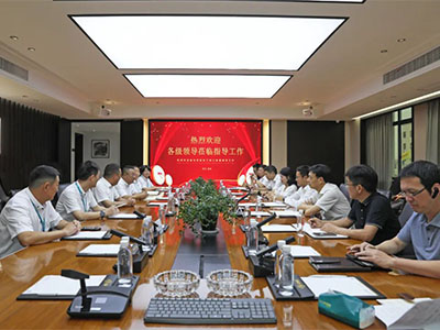 拼經濟 促發展！溫州灣新區黨工委副書記謝忠誠率隊赴集團開展調研督導活動